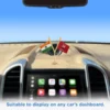 TFS-CAR-LS-PL-Y-SBG-IND-CPIML-C
