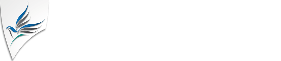 The Flag Corp